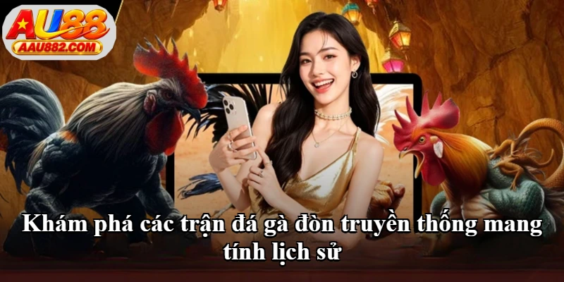 Khám phá các trận đá gà đòn truyền thống mang tính lịch sử