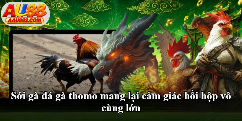 Sới gà đá gà thomo mang lại cảm giác hồi hộp vô cùng lớn Sới gà đá gà thomo mang lại cảm giác hồi hộp vô cùng lớn
