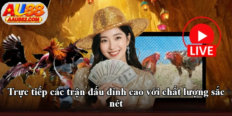 Trực tiếp các trận đấu đỉnh cao với chất lượng sắc nét