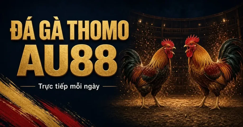 Đá gà Thomo AU88 – trực tiếp mỗi ngày